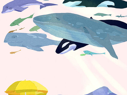 海洋插画