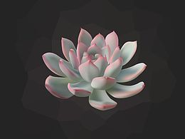 矢量多肉植物 AI