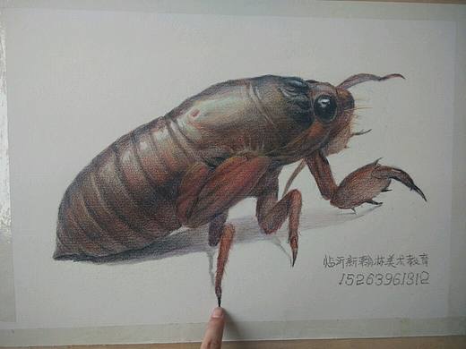 手绘动物进行中