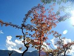 泸沽湖（个人主页-ZMjc1NTg2OA==） - 风光摄影 - 站酷设计师颜金原创素材 - 站酷ZCOOL