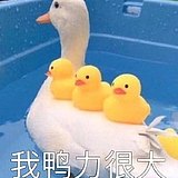 发菜子的头像