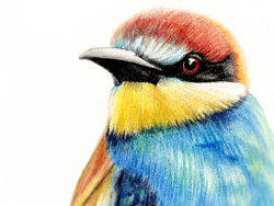 静然守望（个人主页-ZMjU5OTI5Ng==） - 创作习作 - 站酷设计师书言绘物原创素材 - 站酷ZCOOL