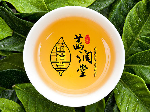 茶叶logo 标志设计 菡润堂