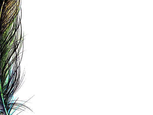 羽（个人主页-ZMTcwODcwNzI=） - 绘画 - 站酷设计师艺豆壳雨原创素材 - 站酷ZCOOL