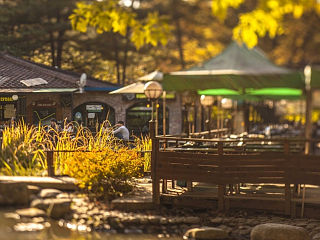 韩国印象（个人主页-ZMzY2MDEwMA==） - 风光摄影 - 站酷设计师bellxy原创素材 - 站酷ZCOOL