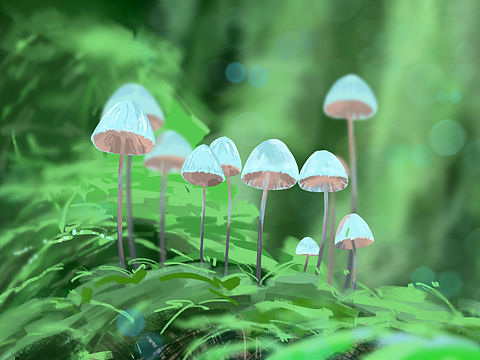 色彩练习