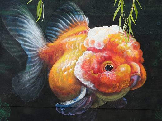 涂鸦壁画第三波——情定大水峪