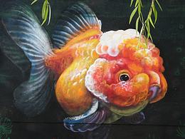 涂鴉壁畫第三波——情定大水峪