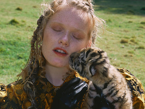 ITIS OK商业摄影｜关爱野生动物