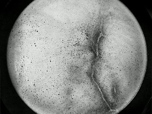 摄影作品（原创）（个人主页-ZMzQ3NjI0NjA=） - 其他摄影 - 站酷设计师李祺L原创素材 - 站酷ZCOOL