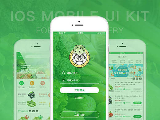 UI KIT / 鲜菜源 / 网上超市