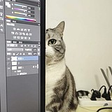 画图呢蝎子的头像
