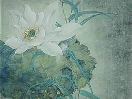 手绘花鸟
