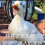 CnnnnnnnnnnN的头像