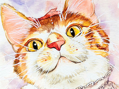 嘿，都是喵呀！大橘（个人主页-ZNTIxNjEzOTY=） - 艺术插画 - 站酷设计师爱做梦的猫原创素材 - 站酷ZCOOL