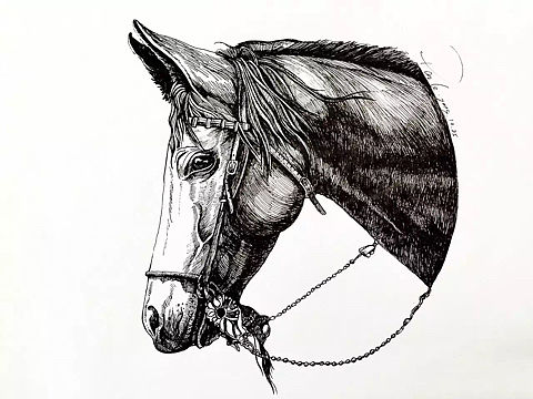 我的黑白画