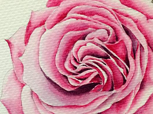 水彩花卉 临摹作品