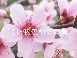 搜狗输入法皮肤设计（青春的颜色）