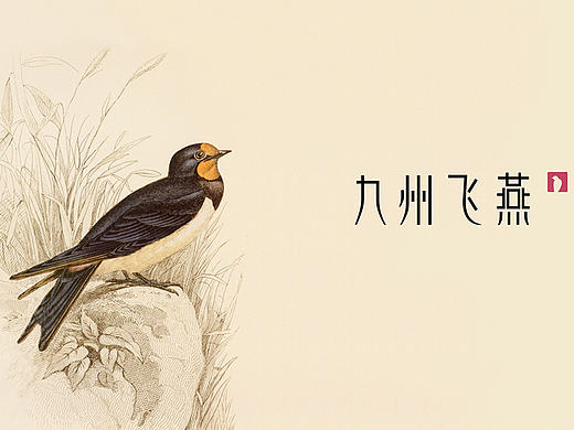 燕窝包装设计，燕窝品牌设计，燕盏包装设计，碗燕包装设计，食品包装设计，高端包装设计，九州飞燕包装设计