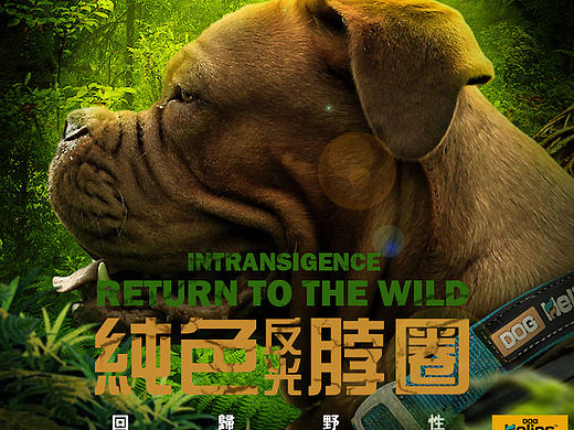 狗狗户外脖圈（个人主页-ZMTYzNzcxODg=） - 电商 - 站酷设计师ARCHY1996原创素材 - 站酷ZCOOL