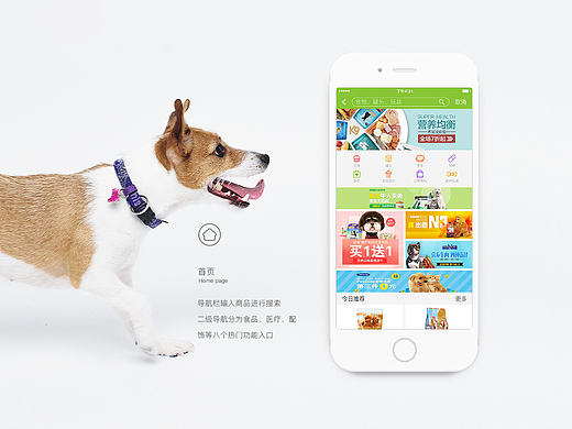 APP_宠物家项目
