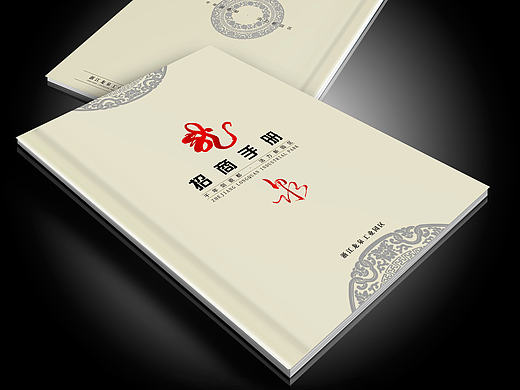 浙江龙泉工业园区招商画册