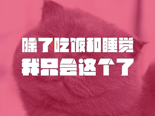 除了吃饭和睡觉，我只会这个了