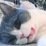 xiamibb的头像