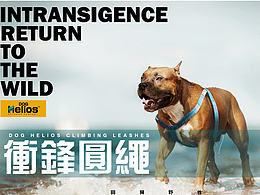 doghelios户外海报
