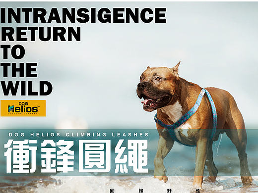 doghelios户外海报（个人主页-ZMTYzNzg0Mjg=） - 电商 - 站酷设计师ARCHY1996原创素材 - 站酷ZCOOL