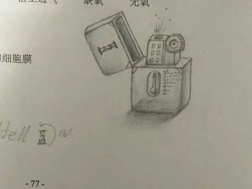 自画自建 by Magicavoxcel