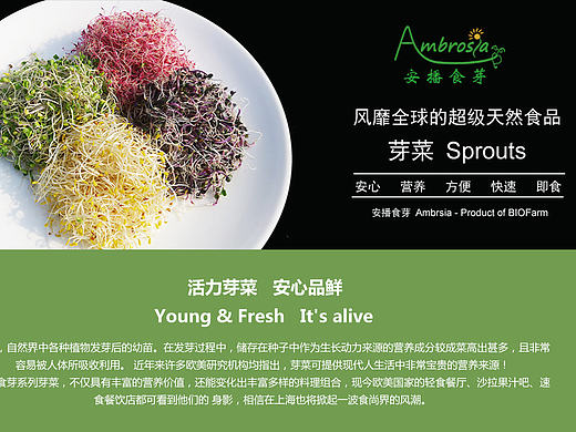 安播食芽专题设计 电商设计（个人主页-ZMTgxMjEzNzY=） - 电商 - 站酷设计师酱紫蒜头设计原创素材 - 站酷ZCOOL