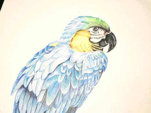 插畫(huà)練習(xí)（個(gè)人主頁(yè)-ZMzAwMzUwODQ=） - 創(chuàng)作習(xí)作 - 站酷設(shè)計(jì)師Baby_Star0905原創(chuàng)素材 - 站酷ZCOOL