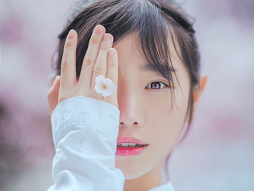 櫻花雨是想你時落的淚