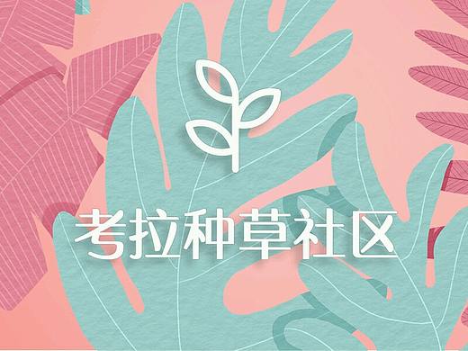 考拉种草社区-app设计