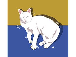 插画