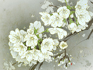 二十四节气之春