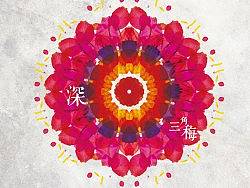 深圳印象（个人主页-ZMTA1MjQzNg==） - 海报 - 站酷设计师binhop原创素材 - 站酷ZCOOL