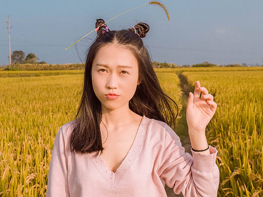 稻香