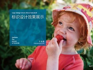 北京某母婴用品类综合公司vi设计提案