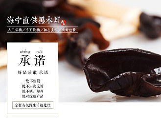 食品农产品类目电商淘宝天猫首页设计 农产品土特产木耳详情页