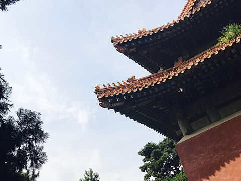 燕（个人主页-ZMjIyNzkyMTY=） - 风光摄影 - 站酷设计师安迪Bridgette原创素材 - 站酷ZCOOL