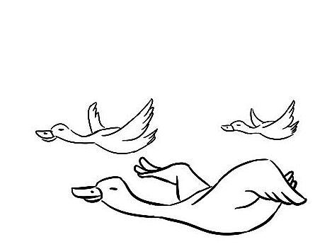 大雁为什么要往南飞？（个人主页-ZMTMyMjYwMjQ=） - 短篇/格漫 - 站酷设计师原野超超原创素材 - 站酷ZCOOL