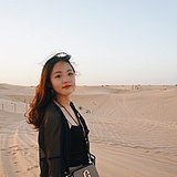 Cindybravo的头像