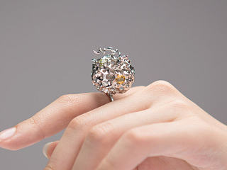 花辞树系列——异果