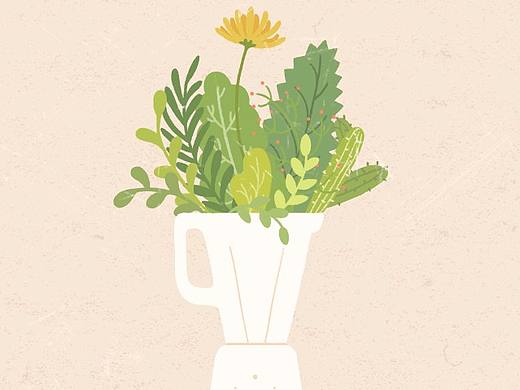 #插画练习#花的味道