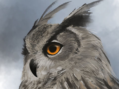 速涂練習(xí)一貓頭鷹（個(gè)人主頁-ZNDQ4MjQyODQ=） - 創(chuàng)作習(xí)作 - 站酷設(shè)計(jì)師HUSTAR繪原創(chuàng)素材 - 站酷ZCOOL