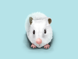 手机壁纸仓鼠插画分享，头像定制，写实厚涂插画