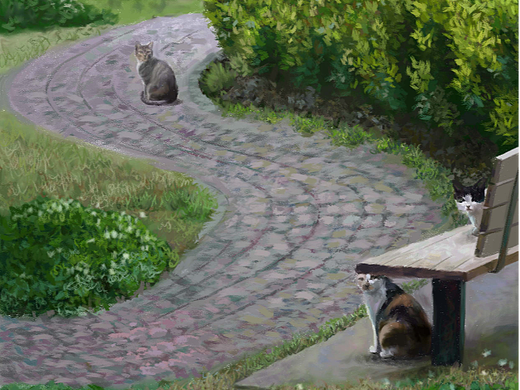 园子里的小猫咪们