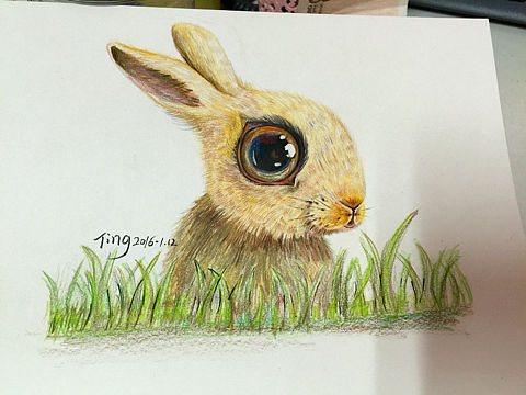 彩鉛兔子（個人主頁-ZMTQ3MjY5Njg=） - 繪畫 - 站酷設(shè)計師粉沫亭亭原創(chuàng)素材 - 站酷ZCOOL
